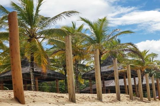 CERCAS EM EUCALIPTO TRATADO